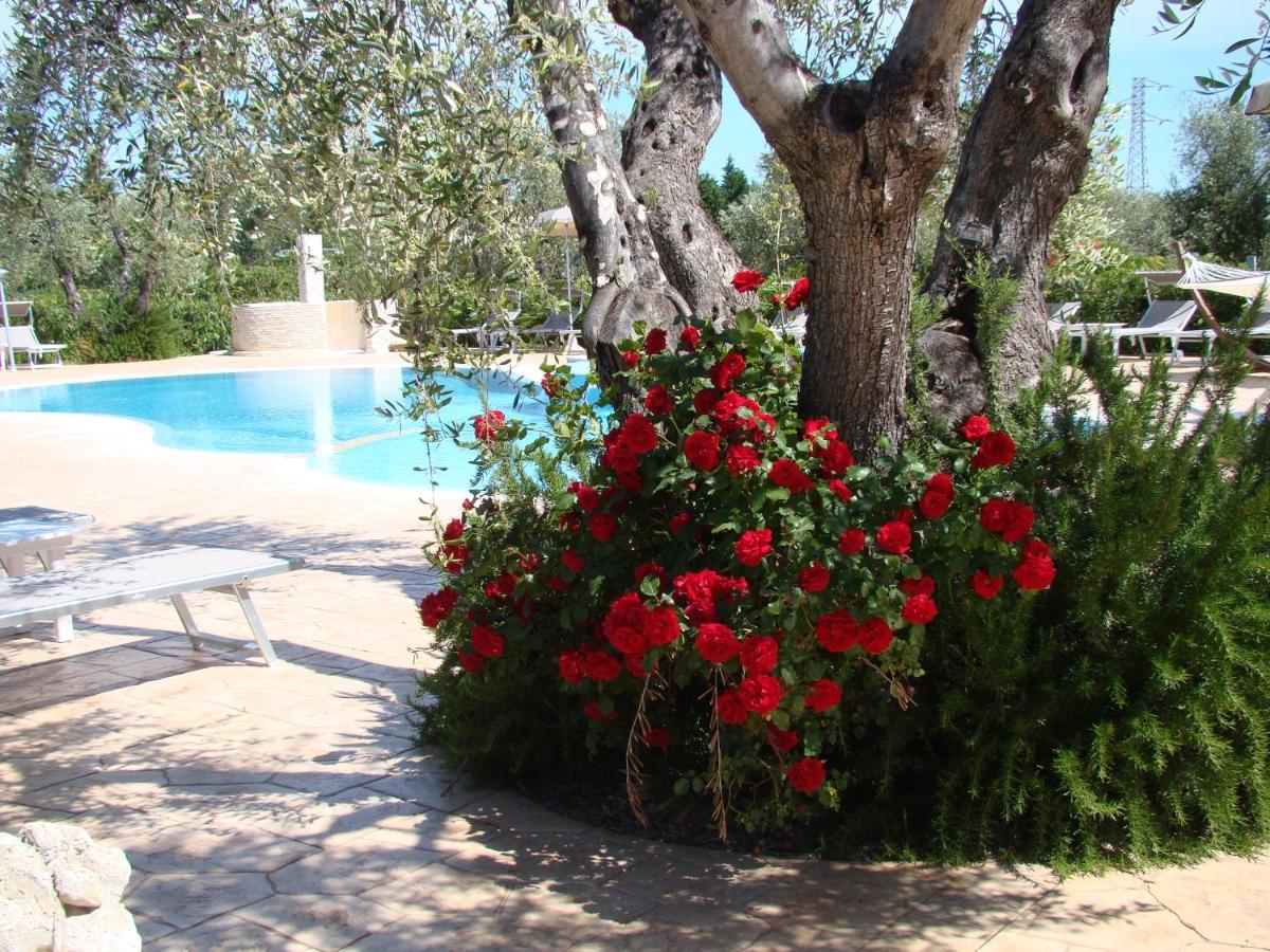 Agriturismo I Tesori Del Sud Vieste, Puglia Εξωτερικό φωτογραφία
